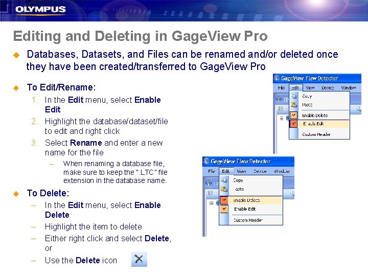 Editing and Deleting in Gage. View Pro u Databases, Datasets, and Files can be
