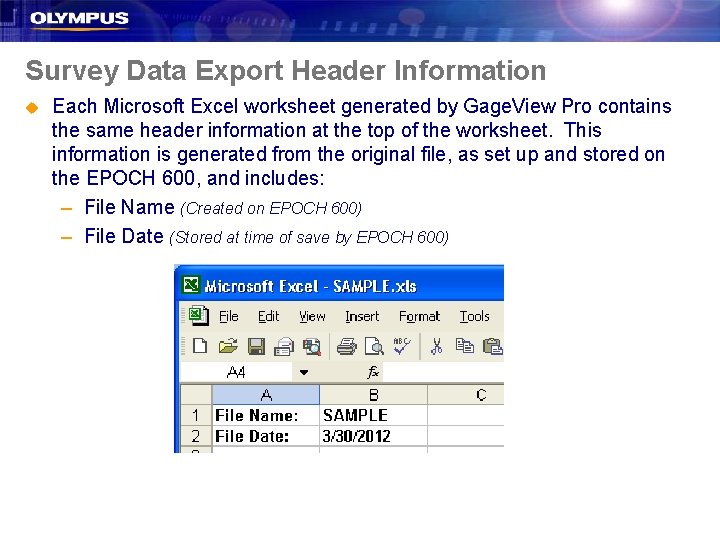 Survey Data Export Header Information u Each Microsoft Excel worksheet generated by Gage. View