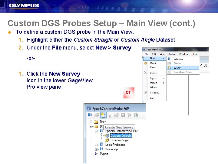 Custom DGS Probes Setup – Main View (cont. ) u To define a custom Custom DGS Probes Setup – Main View (cont. ) u To define a custom