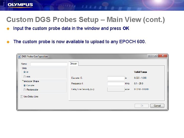 Custom DGS Probes Setup – Main View (cont. ) u Input the custom probe
