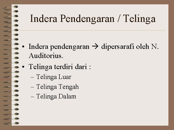 Indera Pendengaran / Telinga • Indera pendengaran dipersarafi oleh N. Auditorius. • Telinga terdiri
