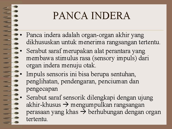 PANCA INDERA • Panca indera adalah organ-organ akhir yang dikhususkan untuk menerima rangsangan tertentu.