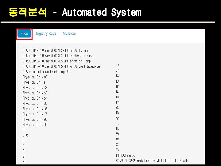 동적분석 – Automated System 