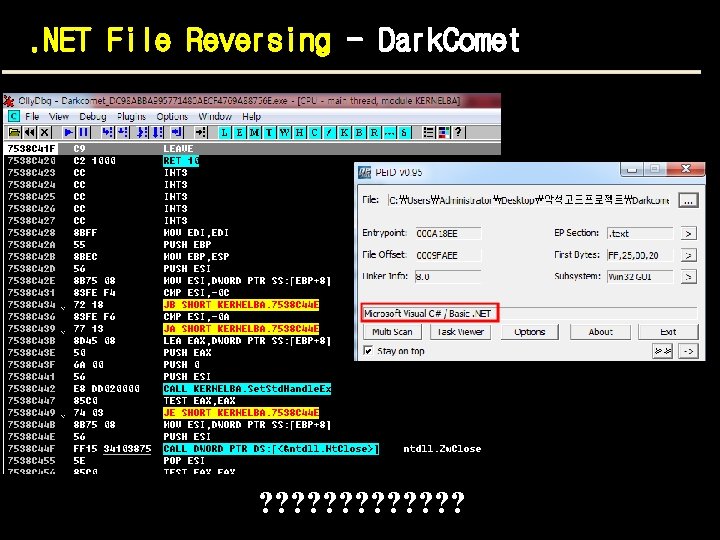 . NET File Reversing - Dark. Comet ? ? ? ? 