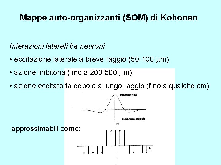 Mappe auto-organizzanti (SOM) di Kohonen Interazioni laterali fra neuroni • eccitazione laterale a breve