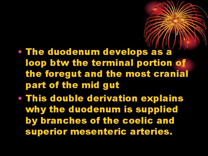  • The duodenum develops as a loop btw the terminal portion of the