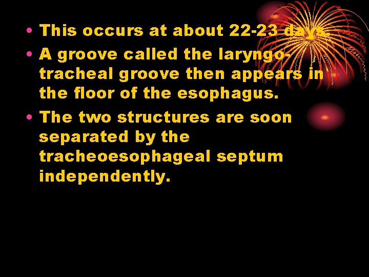  • This occurs at about 22 -23 days. • A groove called the