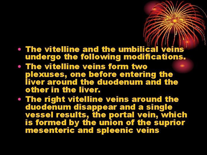  • The vitelline and the umbilical veins undergo the following modifications. • The