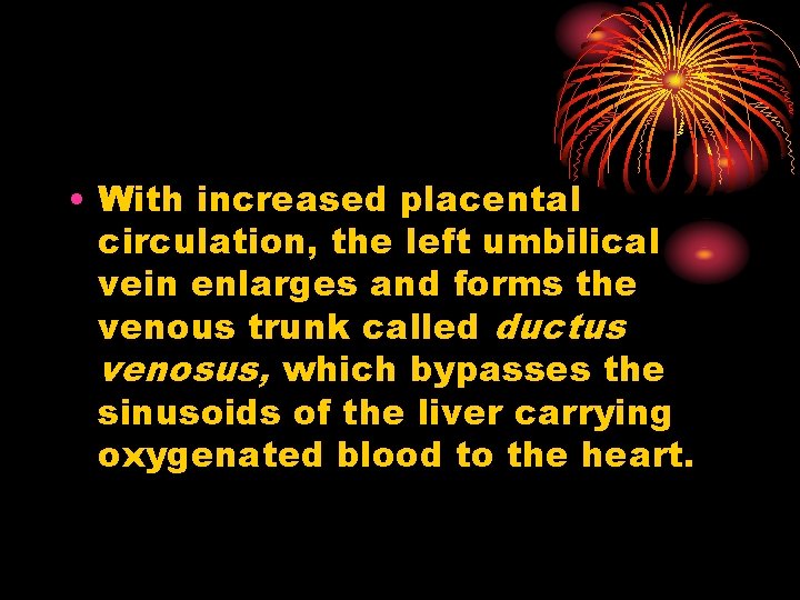  • With increased placental circulation, the left umbilical vein enlarges and forms the