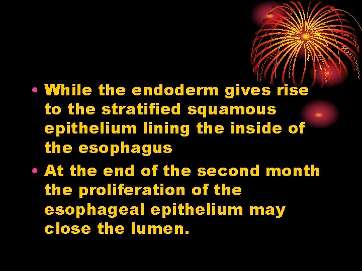  • While the endoderm gives rise to the stratified squamous epithelium lining the