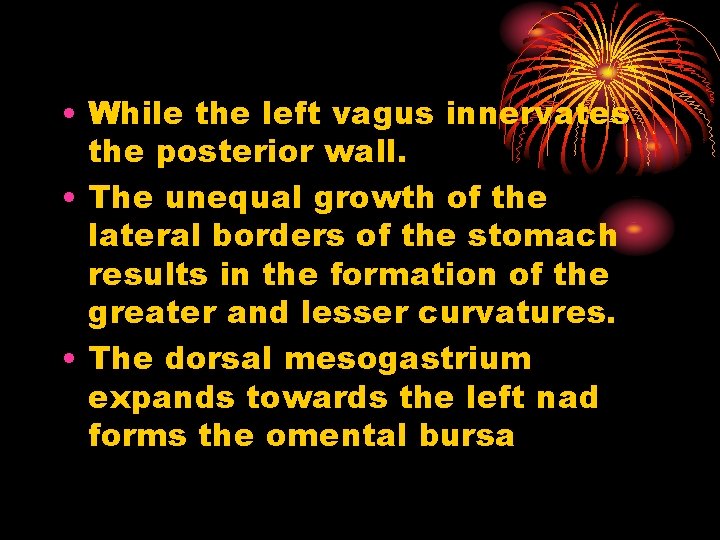  • While the left vagus innervates the posterior wall. • The unequal growth