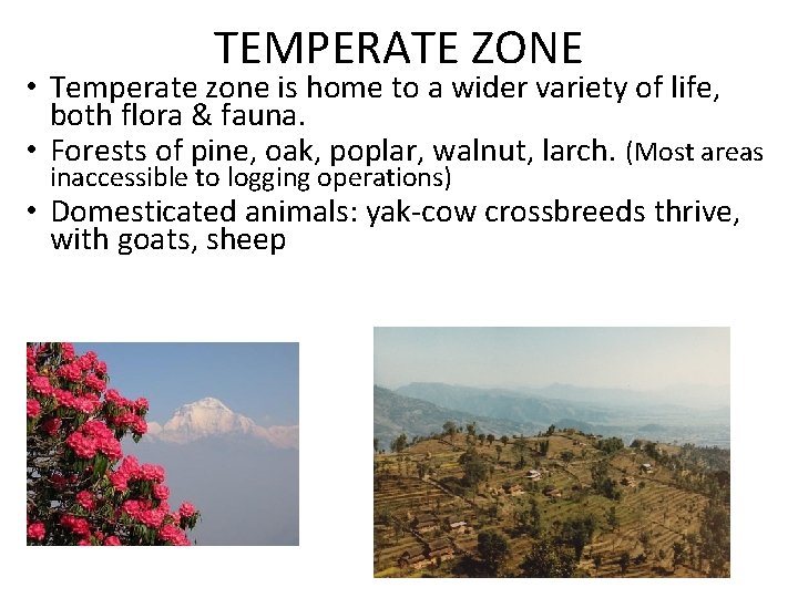 TEMPERATE ZONE • Temperate zone is home to a wider variety of life, both