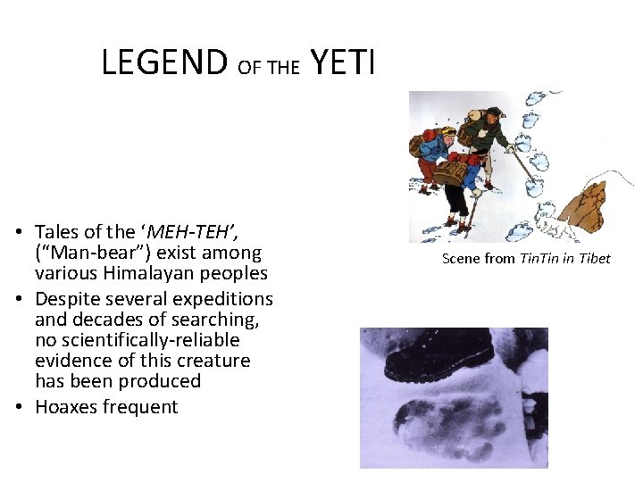 LEGEND OF THE YETI • Tales of the ‘MEH-TEH’, (“Man-bear”) exist among various Himalayan