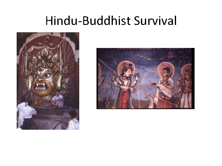 Hindu-Buddhist Survival 