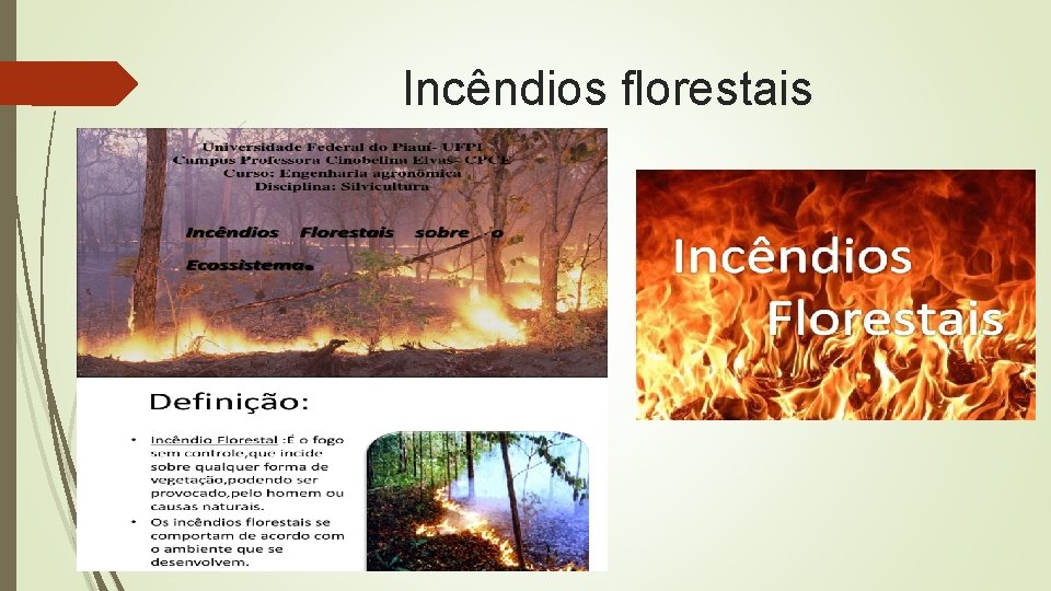 Incêndios florestais 