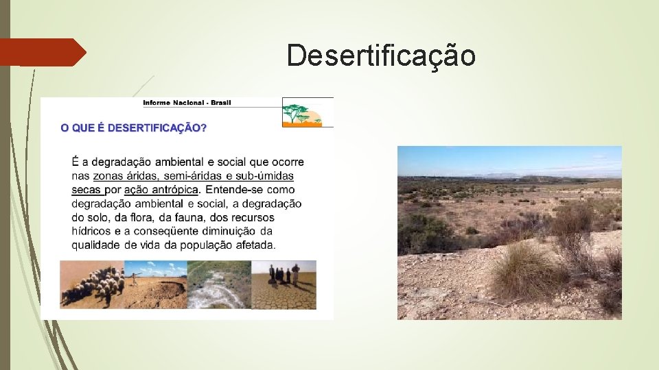 Desertificação 