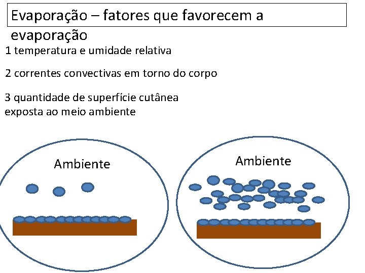 Evaporação – fatores que favorecem a evaporação 1 temperatura e umidade relativa 2 correntes