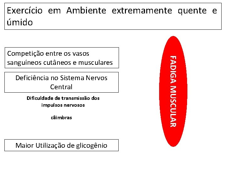 Exercício em Ambiente extremamente quente e úmido Deficiência no Sistema Nervos Central Dificuldade de