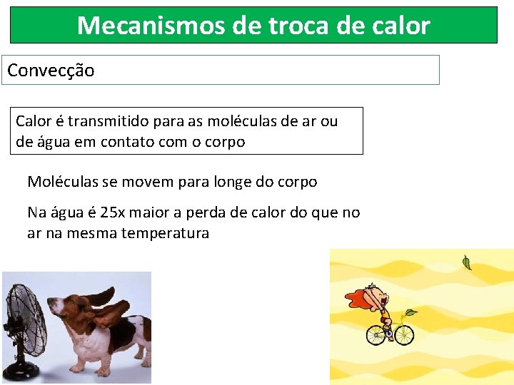 Mecanismos de troca de calor Convecção Calor é transmitido para as moléculas de ar