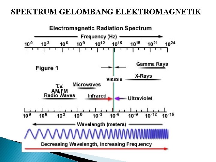 SPEKTRUM GELOMBANG ELEKTROMAGNETIK 