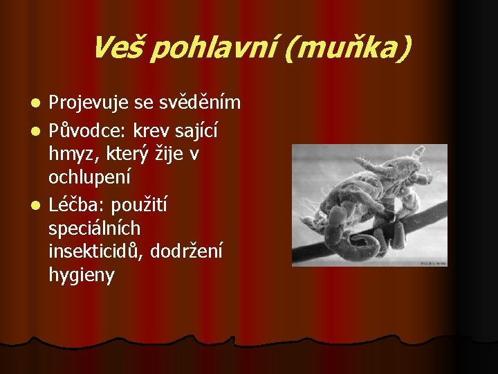 Veš pohlavní (muňka) Projevuje se svěděním l Původce: krev sající hmyz, který žije v