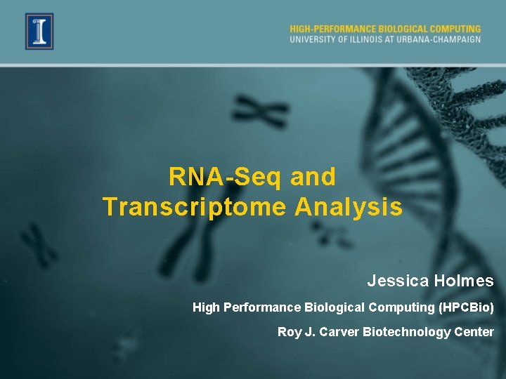 RNA-Seq and Transcriptome Analysis Jessica Holmes High Performance Biological Computing (HPCBio) Roy J. Carver