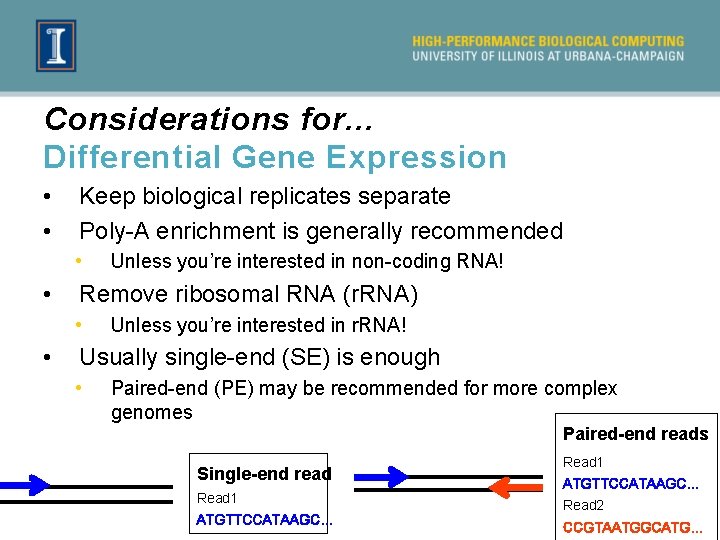 Considerations for. . . Differential Gene Expression • • Keep biological replicates separate Poly-A