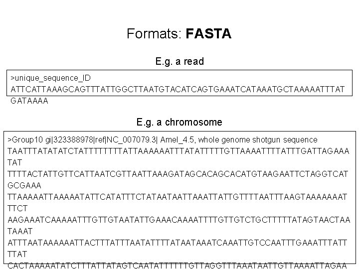 Formats: FASTA E. g. a read >unique_sequence_ID ATTCATTAAAGCAGTTTATTGGCTTAATGTACATCAGTGAAATCATAAATGCTAAAAATTTAT GATAAAA E. g. a chromosome >Group