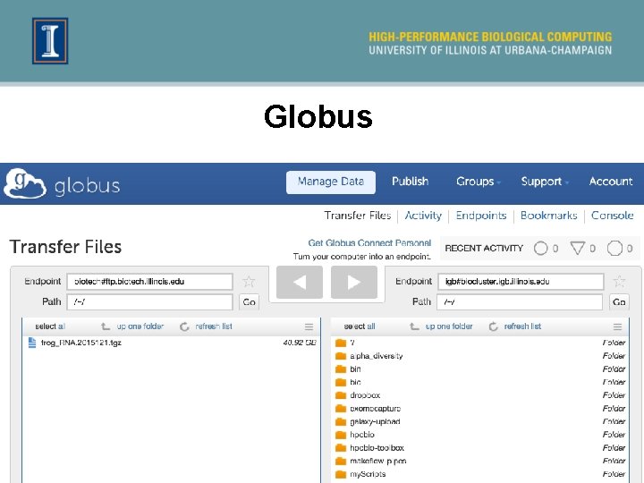 Globus 