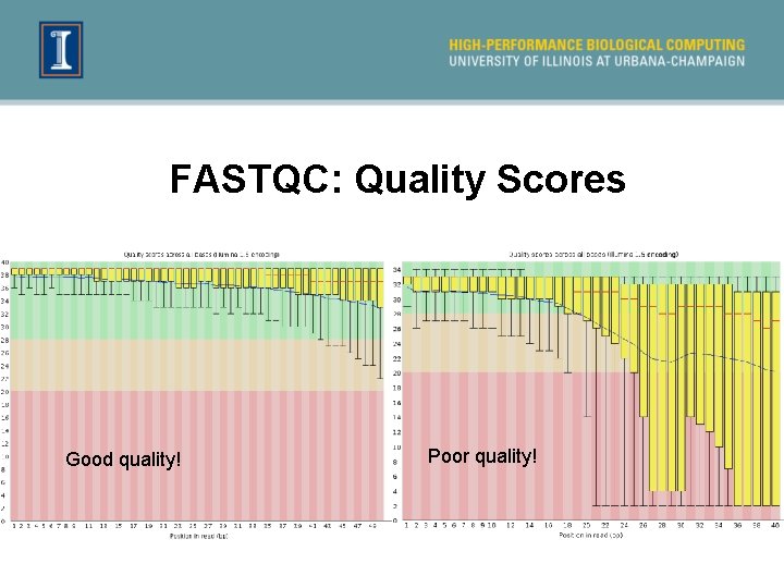 FASTQC: Quality Scores Good quality! Poor quality! 