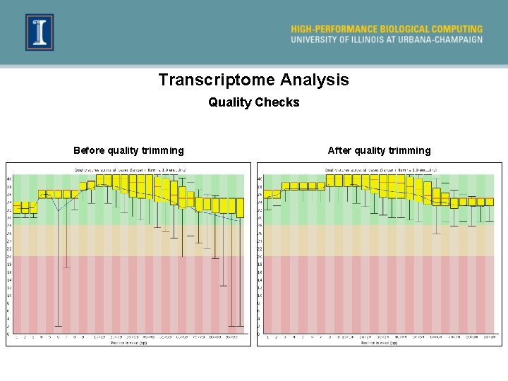 Transcriptome Analysis Quality Checks Before quality trimming After quality trimming 