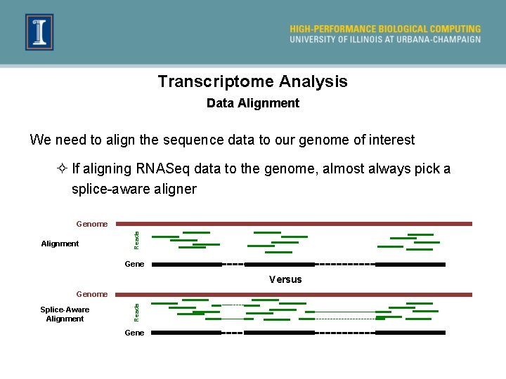 Transcriptome Analysis Data Alignment We need to align the sequence data to our genome