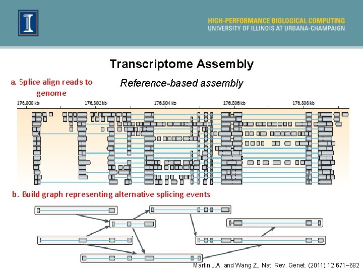 Transcriptome Assembly a. Splice align reads to genome Reference-based assembly b. Build graph representing