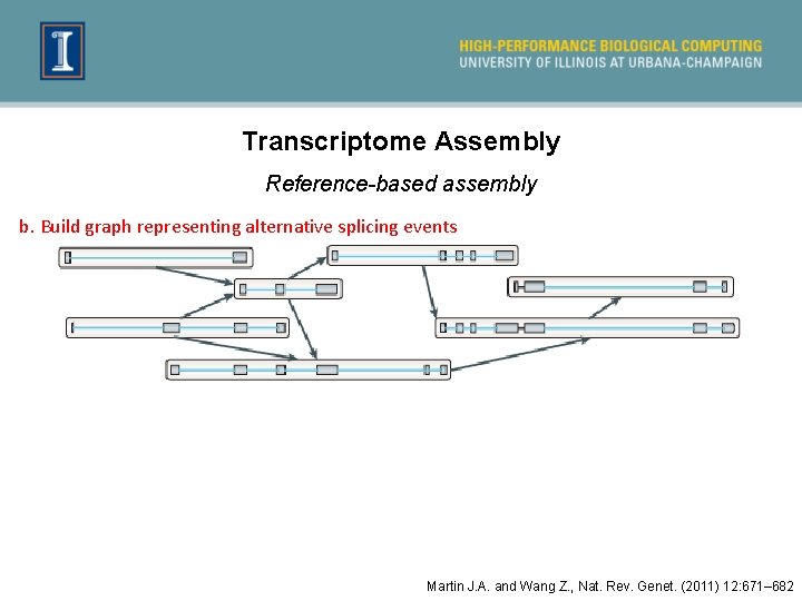 Transcriptome Assembly Reference-based assembly b. Build graph representing alternative splicing events Martin J. A.