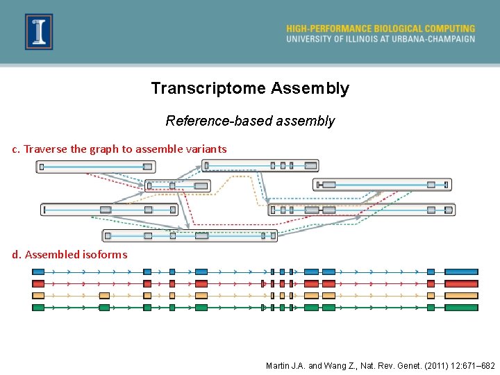 Transcriptome Assembly Reference-based assembly c. Traverse the graph to assemble variants d. Assembled isoforms