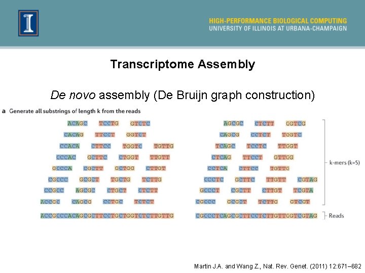 Transcriptome Assembly De novo assembly (De Bruijn graph construction) Martin J. A. and Wang