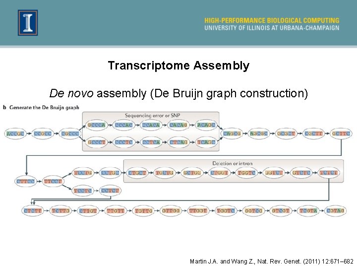 Transcriptome Assembly De novo assembly (De Bruijn graph construction) Martin J. A. and Wang