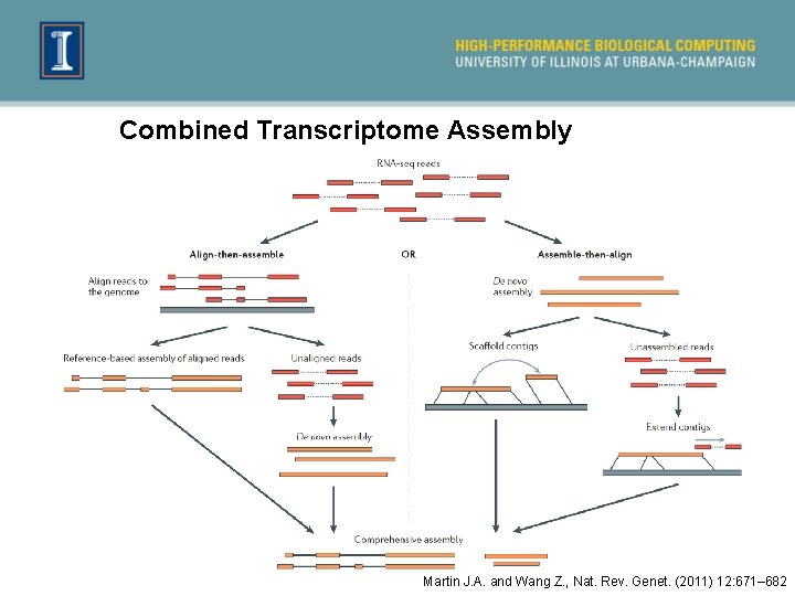 Combined Transcriptome Assembly Martin J. A. and Wang Z. , Nat. Rev. Genet. (2011)