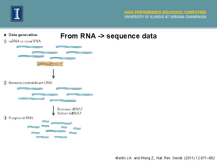 From RNA -> sequence data Martin J. A. and Wang Z. , Nat. Rev.