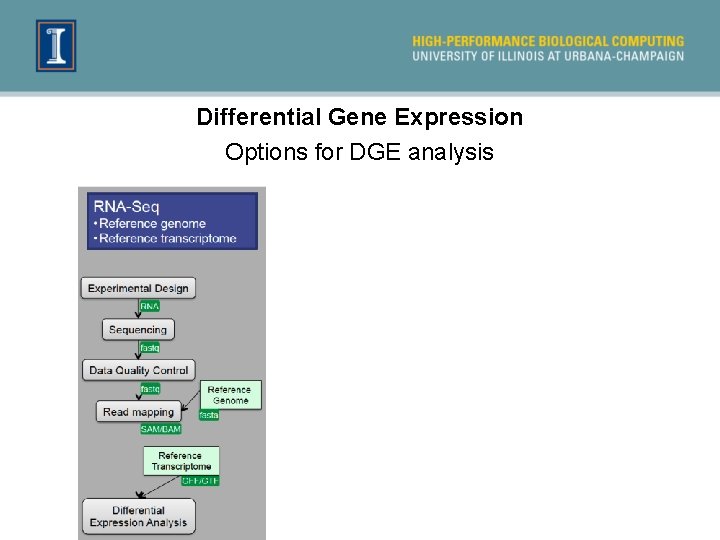 Differential Gene Expression Options for DGE analysis 