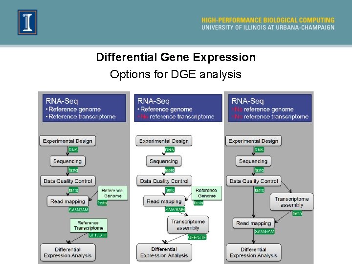 Differential Gene Expression Options for DGE analysis 