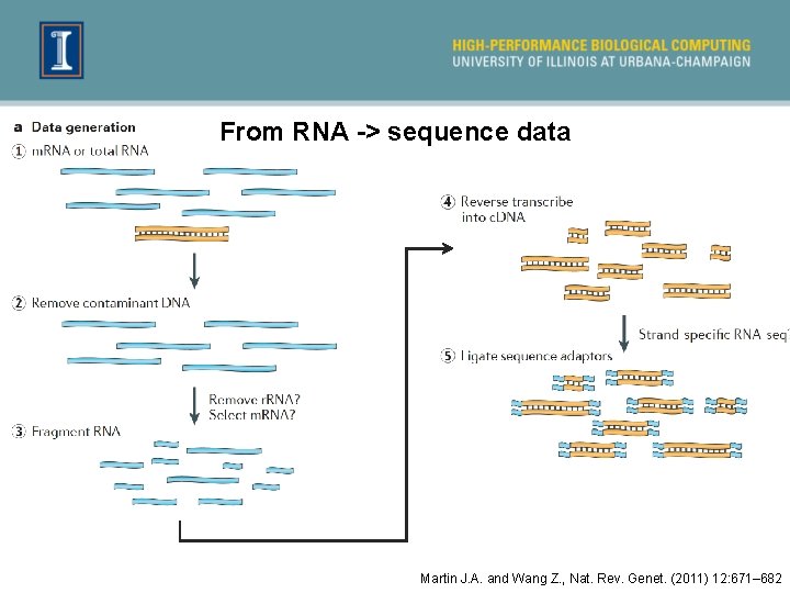 From RNA -> sequence data Martin J. A. and Wang Z. , Nat. Rev.