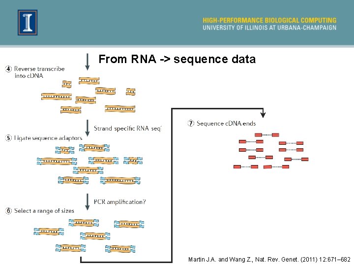 From RNA -> sequence data Martin J. A. and Wang Z. , Nat. Rev.