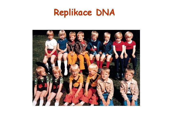 Replikace DNA 