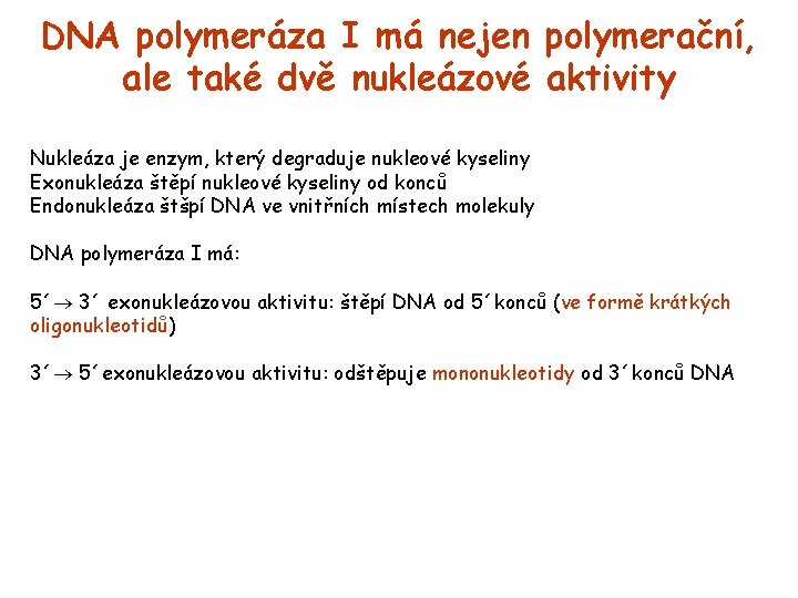 DNA polymeráza I má nejen polymerační, ale také dvě nukleázové aktivity Nukleáza je enzym,