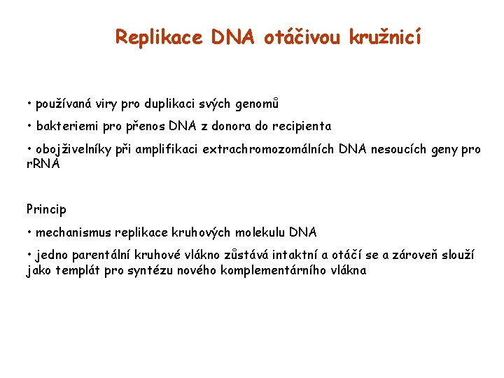 Replikace DNA otáčivou kružnicí • používaná viry pro duplikaci svých genomů • bakteriemi pro