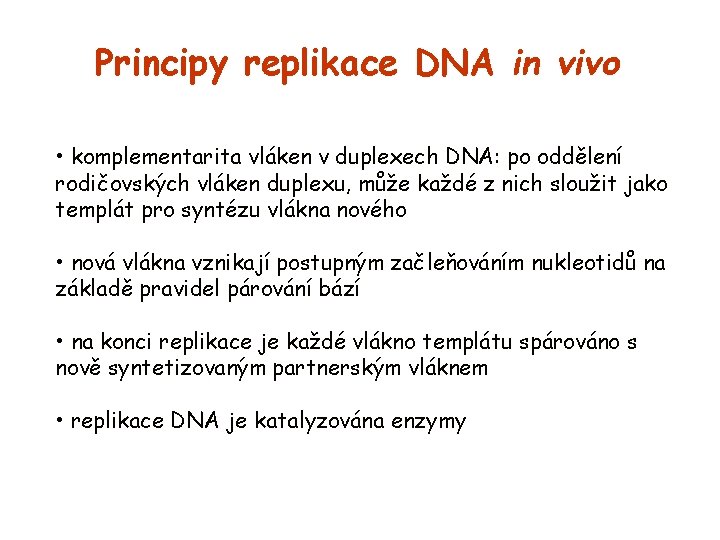 Principy replikace DNA in vivo • komplementarita vláken v duplexech DNA: po oddělení rodičovských