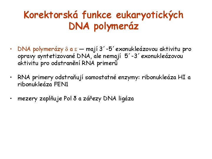 Korektorská funkce eukaryotických DNA polymeráz • DNA polymerázy a — mají 3´-5´exonukleázovou aktivitu pro