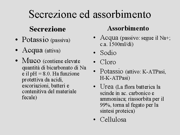 Secrezione ed assorbimento Secrezione • Potassio (passiva) • Acqua (attiva) • Muco (contiene elevate