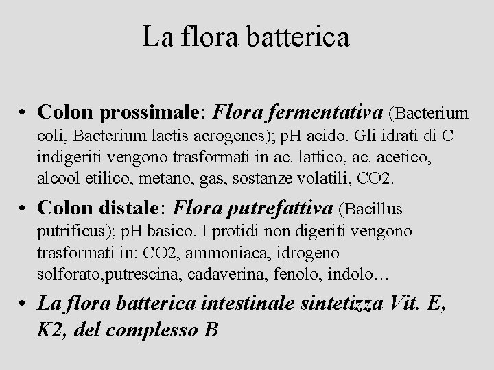 La flora batterica • Colon prossimale: Flora fermentativa (Bacterium coli, Bacterium lactis aerogenes); p.